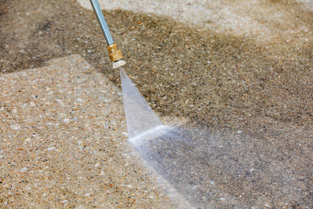 Best Winterizing Services  in Clare, MI